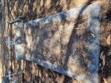 image of grave number 968522